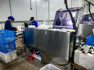 機(jī)械化助力食用菌產(chǎn)業(yè)化生產(chǎn) 為鄉(xiāng)村振興撐開(kāi)“致富傘”