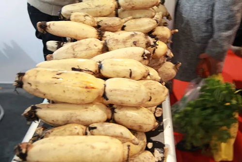 冬節(jié)大如年，團(tuán)圓時(shí)節(jié)品珍饈——江蘇農(nóng)民合作社農(nóng)產(chǎn)品年度盛會(huì)收官在即